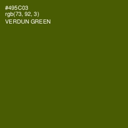 #495C03 - Verdun Green Color Image